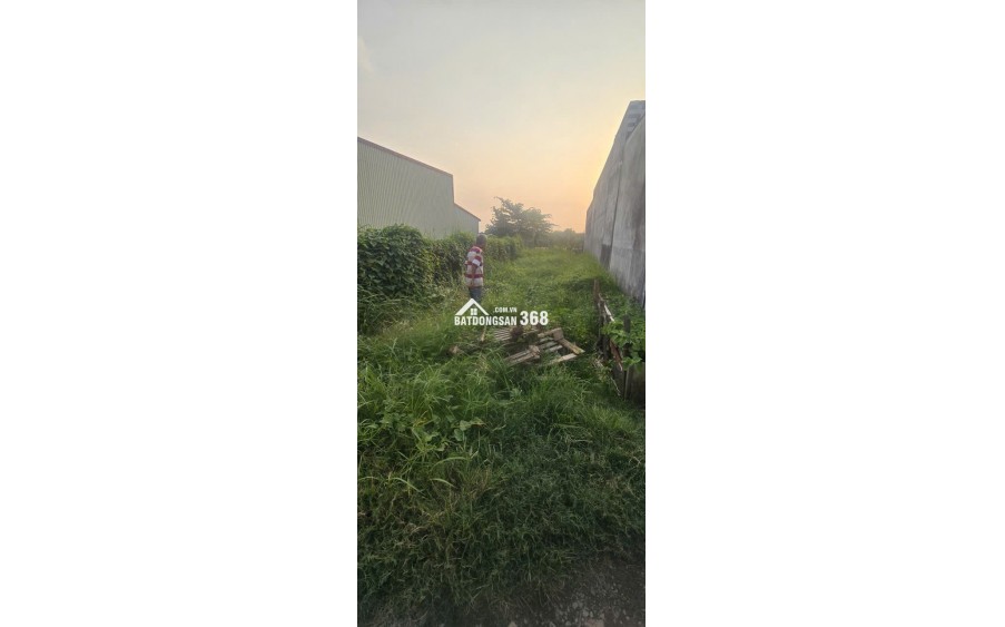 Chính chủ cần bán đất thổ cư xã mỹ yên, bến lức, Long An